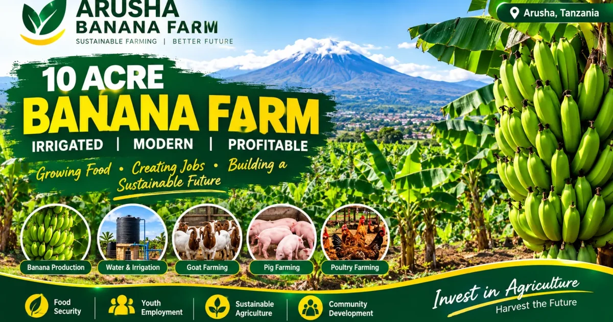 “Arusha 10-Acre Commercial Banana Farm Project” image 3